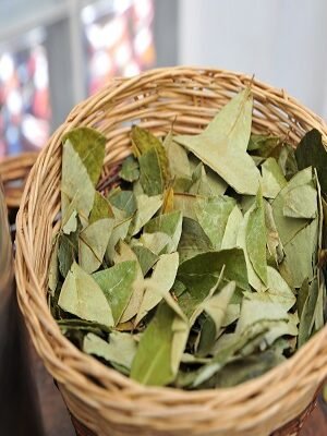 Coca leaves For Sale