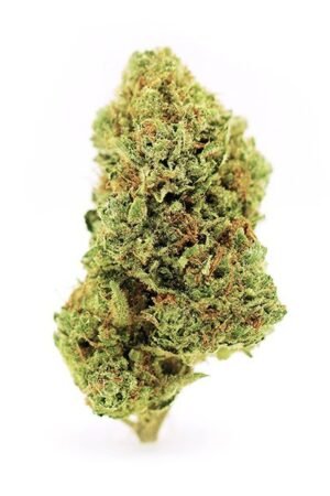Buy Hulkberry Online