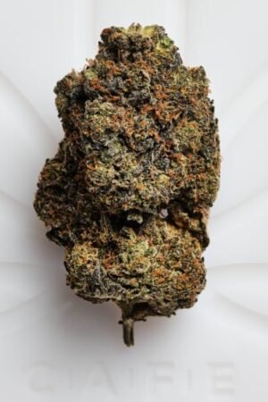 Layer Cake Shatter | Premium Indica Hybrid Concentrate