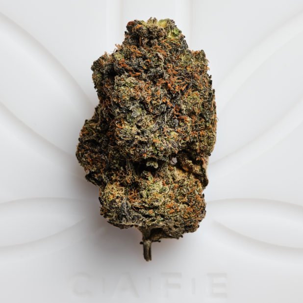Layer Cake Shatter | Premium Indica Hybrid Concentrate