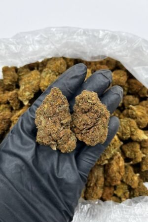 Buy Apple Fritter Online – Top Quality Hybrid Strain For Sale