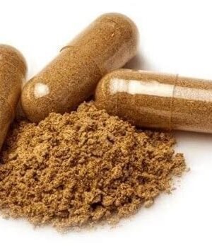 Ibogaine for sale