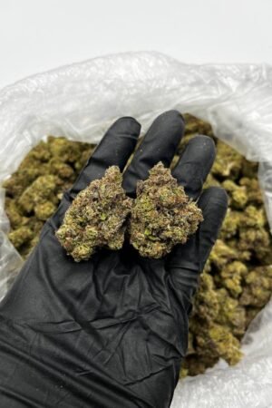 Buy Lemon Cherry Gelato Online – Top Quality Hybrid |