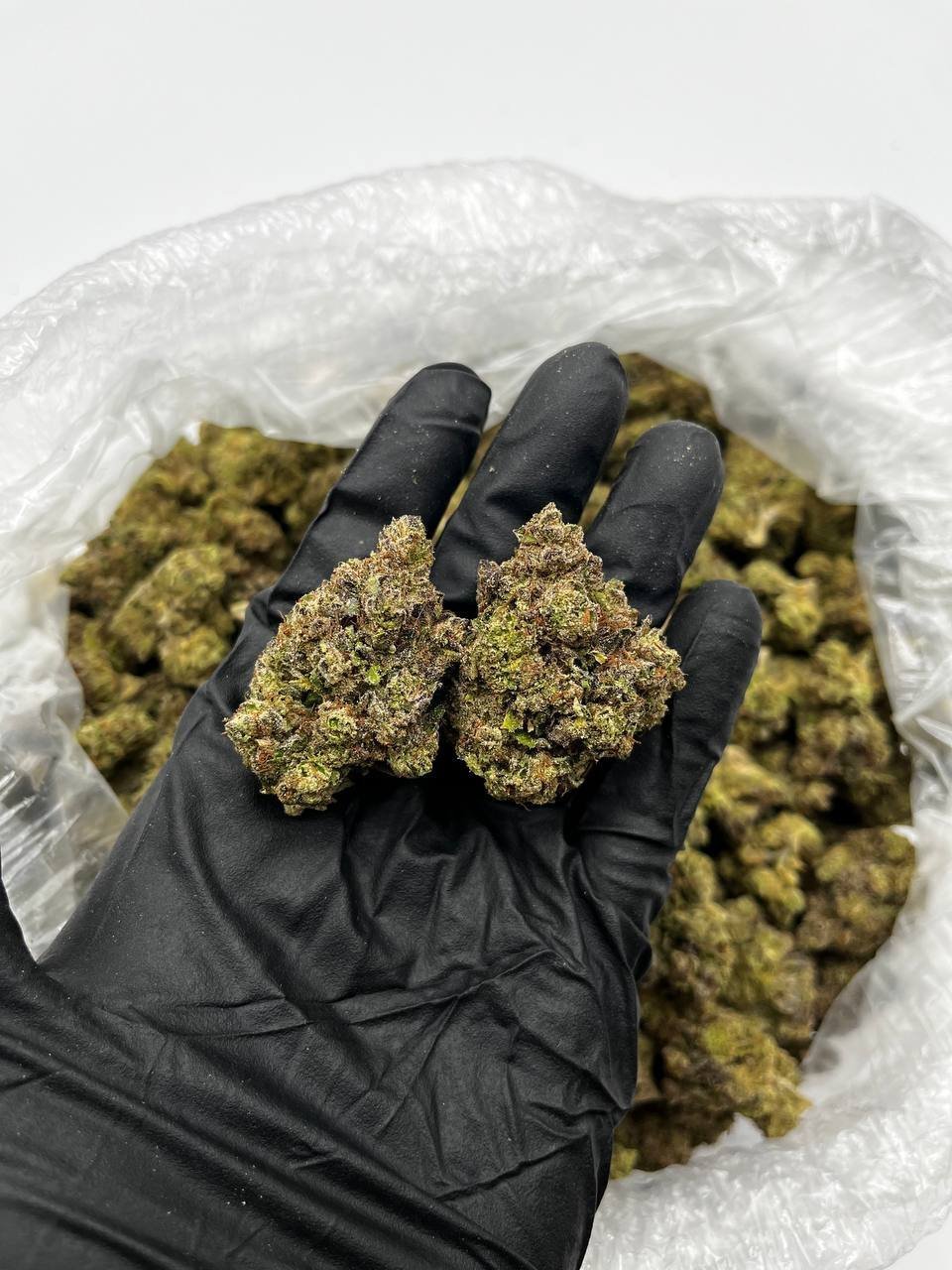 Buy Lemon Cherry Gelato Online – Top Quality Hybrid |