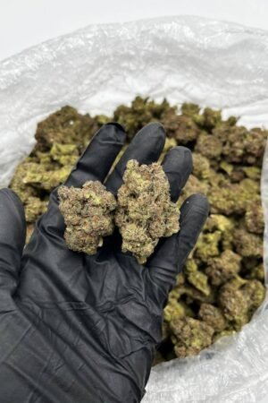 Buy Pink Rose Online | Premium Quality Strain For Sale
