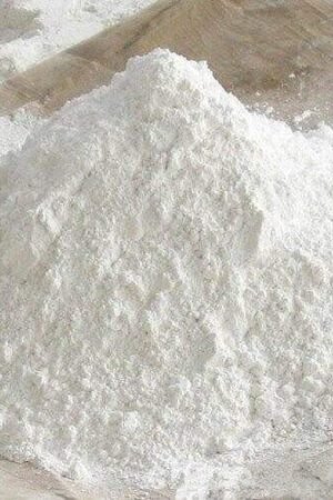 Noopept Powder