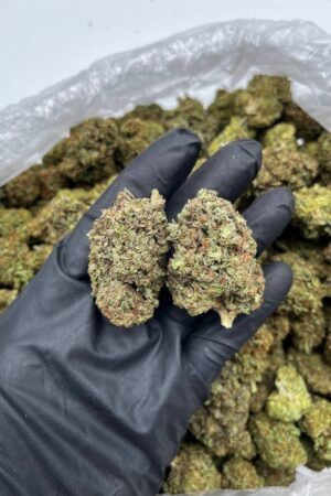 Buy Red Velvet Online | Top Quality Hybrid Cannabis
